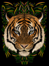 Sumatra's Most Wanted: Men's White T Shirt