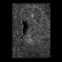 Wandering Giant: Men's Sweatshirt